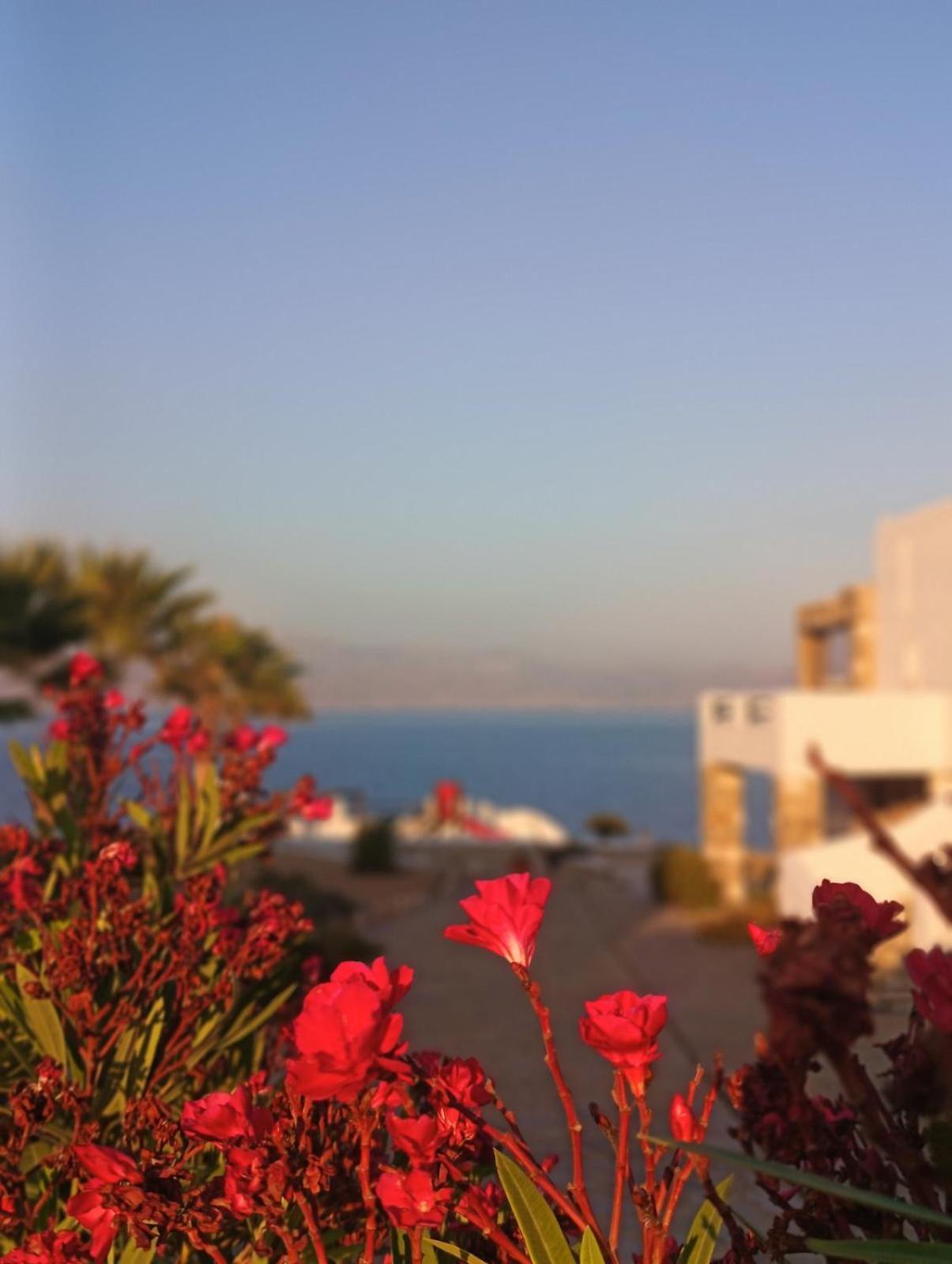 Ferienwohnung Aura Paros Logaras Exterior foto